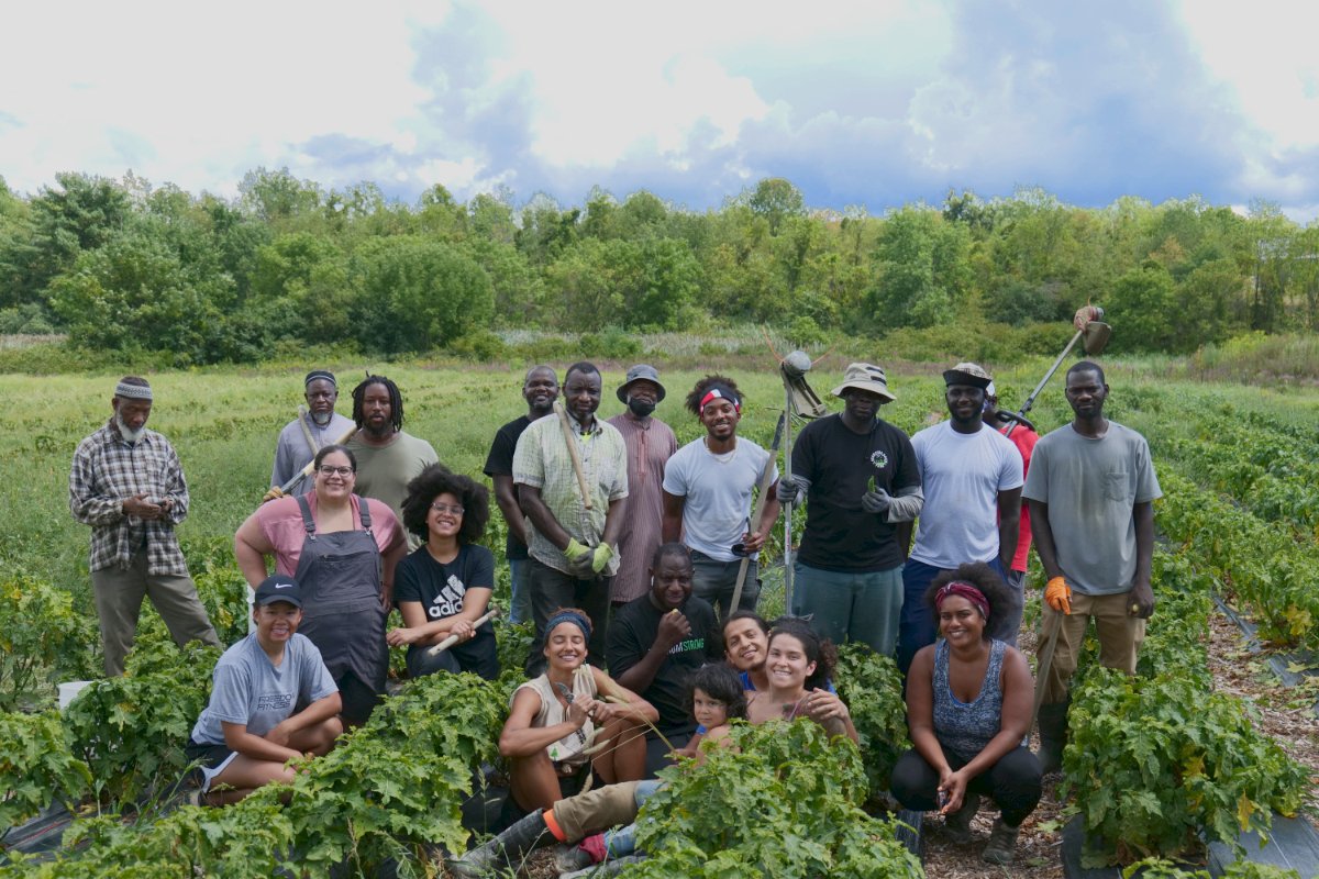 Black Farmer Fund Reaches $20 Million Milestone To Empower Black-Owned Farms In The Northeast.