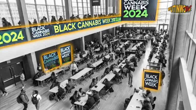 Black-Cannabis-Week-2024-Returns-To-Educate-And-Empower-The-Cannabis-Community-With-A-Focus-On-Inclusion