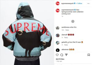 Supreme Previews Spring/Summer 2025 Collection.