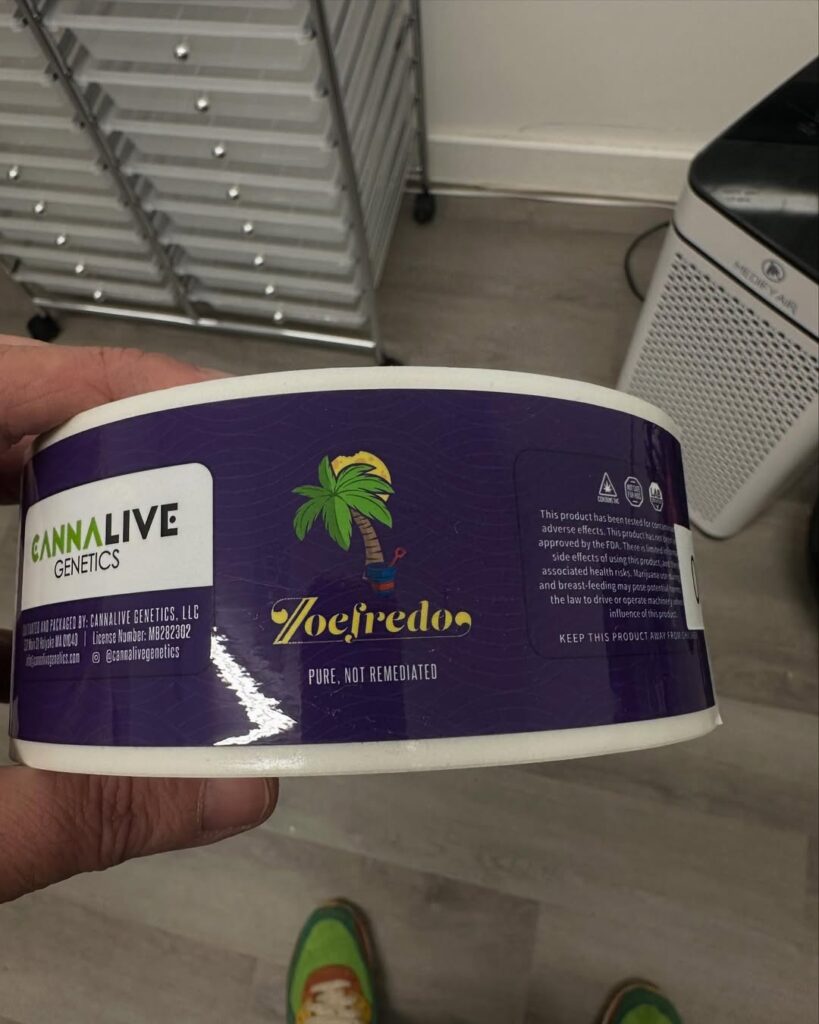 Dutch ReBelle Launches First Official Cannabis Strain “Zoefredo” in Collaboration With Cannalive Genetics.