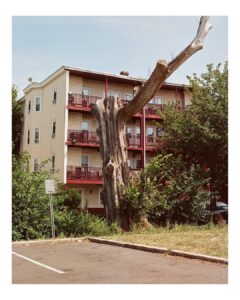 Fitchburg Art Museum Acquires New Works by Boston Photographer George Annan.