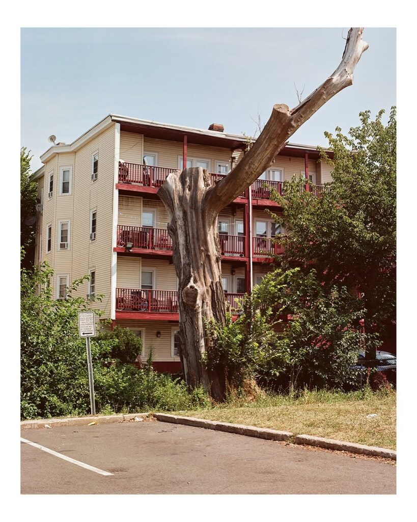 Fitchburg Art Museum Acquires New Works by Boston Photographer George Annan.